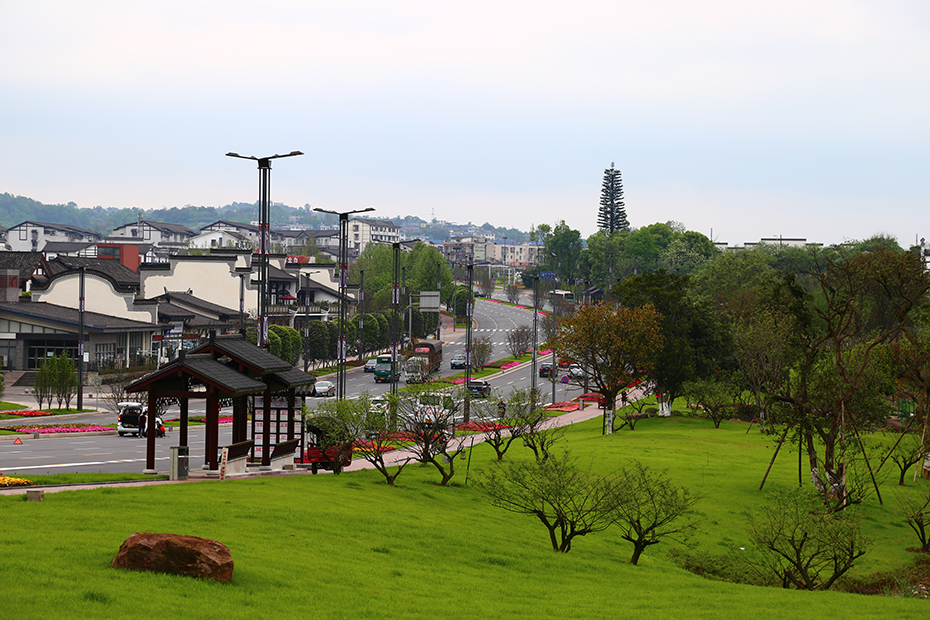 2026世界杯园林绿化维护